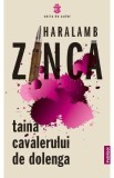 Taina cavalerului de Dolenga - Haralamb Zinca