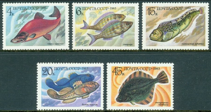 Russia 1983 Fishes MNH DC.074