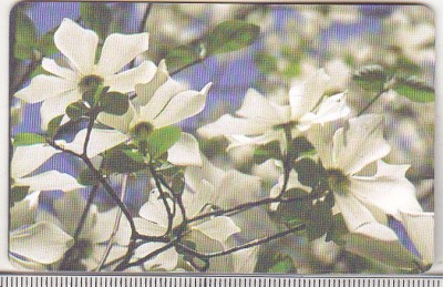 bnk card Cartela telefonica 2001 - Flori 3 - RO-ROM-0116B foto