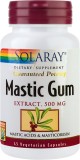 MASTIC GUM 500MG 45CPS VEGETALE, Secom