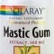 MASTIC GUM 500MG 45CPS VEGETALE
