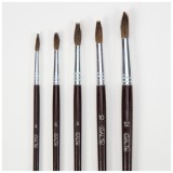 Set 5 pensule pentru pictura Galt, marimi 4, 6, 8, 10 si 12
