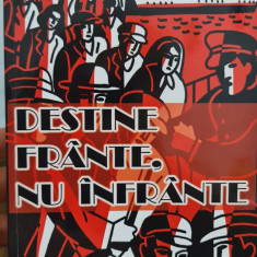 DESTINE FRANTE NU INFRANTE ILEANA MATEESCU REZISTENTA ANTICOMUNISTA DETINUT 672P