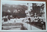 Carte Postala Sinaia, Castelul Peleș, Interbelica, Alb-Negru, 14x9 cm, Neutilizata