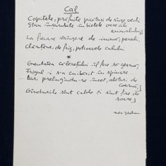 TUDOR JEBELEANU , MANUSCRIS , POEZIA ' CAL ' , ANII '60