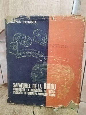 Eugenia Zaharia - Sapaturile de la Dridu foto