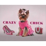 Cumpara ieftin Punga de Cadouri Crazy Chick Tema Caini Citate Fotografii Umor Papetarie