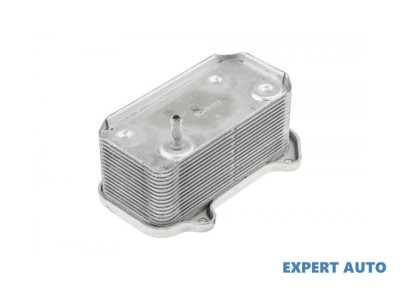 Radiator ulei Porsche BOXSTER (2004-2011)[987] #1 foto
