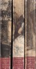 Alexandre Dumas - Contele de Monte Cristo, 3 volume, Editura Tineretului, 1957, Brosata, Limba Romana, Dimensiune 13x20cm