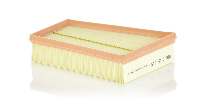 MANN-FILTER C 25 115 Filtru aer