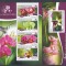 Togo - Flori - ORHIDEE - BL + KB - MNH