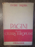 Pagini despre cultura europeană - Ovidiu Drimba