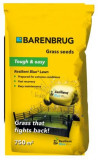 Barenbrug Gazon albastru rezistent 5 kg