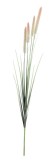 Cumpara ieftin Set 25 flori artificiale Pennisetum &Oslash;19x120h