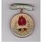 Insigna pioniereasca Pionier de frunte, mare (plastifiata, 32 mm diametrul)