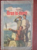 Oras la mare