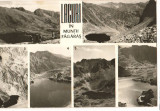 CPIB 19218 CARTE POSTALA - LACURI IN MUNTII FAGARAS. CAPRA CALTUN PODRAGUL..., Circulata, Fotografie