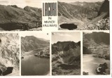 CPIB 19218 CARTE POSTALA - LACURI IN MUNTII FAGARAS. CAPRA CALTUN PODRAGUL...