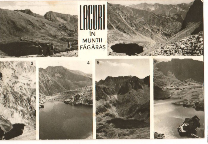 CPIB 19218 CARTE POSTALA - LACURI IN MUNTII FAGARAS. CAPRA CALTUN PODRAGUL...