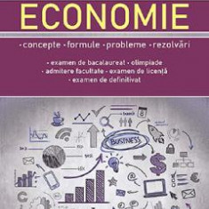 Economie. Concepte, formule, probleme, rezolvari - Floriana Pana