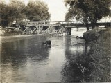 P2150N Pod din lemn și bivoli &icirc;n apă, 1929, Rom&acirc;nia