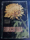 Floricultura - A. Militiu L. Stefan E. Sadofsky ,546707