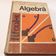 E.Georgescu Buzau si L. Panaitopol - Algebra manual pentru anul 1 liceu-RF14/0