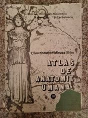 Atlas De Anatomie Umana Vol.3 Sistemul Nervos Si Organele De - Mircea Ifrim Gh. Niculescu N. Bareliuc B. Cerbules,554019 foto