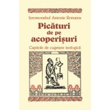 Picaturi de pe acoperisuri