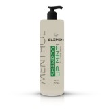 Cumpara ieftin Sampon pentru par - GLEMEN - Menthol - 1000 ml