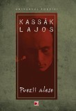 Poezii alese Kassak Lajos | Kassak Lajos, 2019, Paralela 45