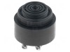 Acustic Buzzer Neagră