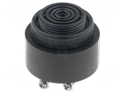 Acustic Buzzer Neagră foto