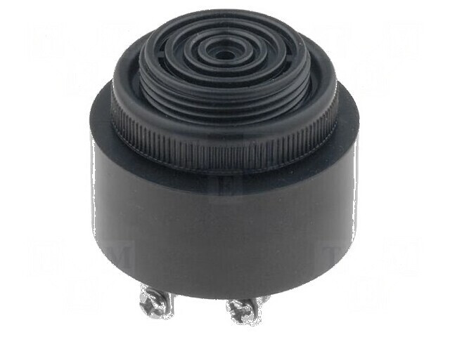 Acustic Buzzer Neagră