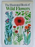 THE ILLUSTRATED BOOK OF WILD FLOWERS by S. ARY , M. GREGORY and B. E. NICHOLSON , 1960