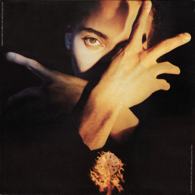 Vinil Terence Trent D&amp;#039;Arby &amp;lrm; Terence Trent D&amp;#039;Arby&amp;#039;s Neither Fish Nor Flesh (VG+) foto