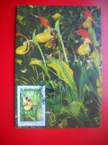 HOPCT MAXIMA ROMANIA NR 1284 PAPUCUL DOAMNEI / CYPRIPEDIUM CALCEOLUS- FLORI/ - -FLORA