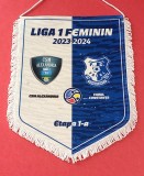 Fanion oficial - meci Feminin-fotbal CSM ALEXANDRIA-FARUL CONSTANTA (sezonul 2023-2024)