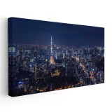 Tablou vedere panoramica cu Turnul Tokyo si orasul Tablou canvas pe panza CU RAMA 60x120 cm