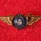 Insigna pilot - aviatie - ALASKA AIRLINES