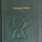 Enigma Otiliei George Calinescu