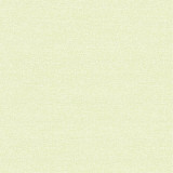 Servetele de masa festive Spanlin - Olaf (verde pastel) / 40 x 40 cm / 30 buc