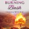 Behind The Bush Intimacy With God