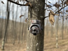 Camera vanatoare rotativa cu transmitere live 4G ForestVision Live C6 foto