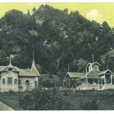 1127 - LOTRU, Valcea, Vilele, Romania - old postcard - used - 1915