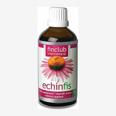 ECHINFIS 100 ML foto