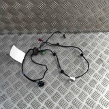 Cablaj ușă st&acirc;nga față MERCEDES-BENZ AMG GT C190 2016 OEM: A1905400333 31493361