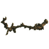 Decor terariu - Dark Grapevine, 40 - 60m