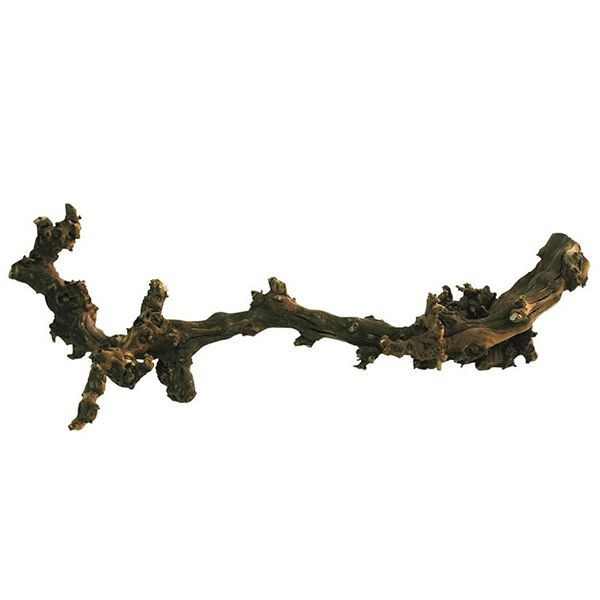 Decor terariu - Dark Grapevine, 40 - 60m