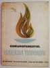 Sublocotenentul Ecaterina Teodoroiu &ndash; Elsa Grozea